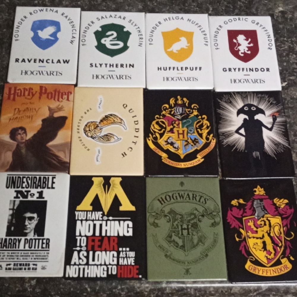 Set Of 12 Harry Potter Magnets